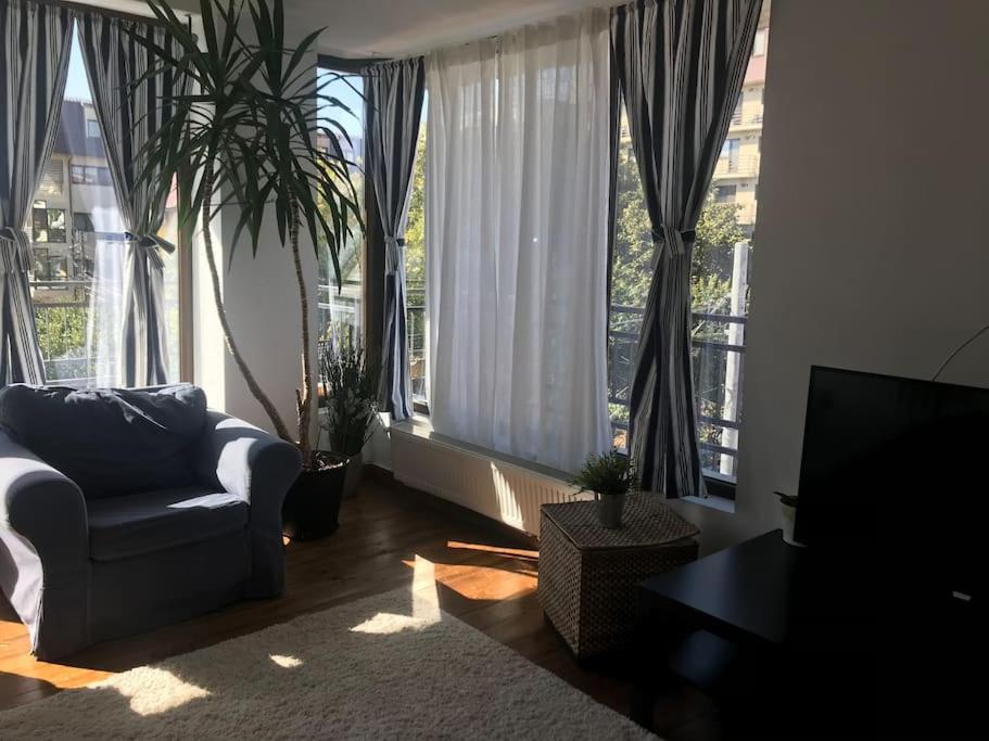 ブカレストにあるLovely Apartment in Villa in Bucharestのソファと大きな窓のあるリビングルーム