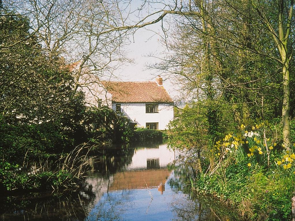 ein Haus inmitten eines Flusses mit Bäumen in der Unterkunft Maxmills Cottage - E1852 in Banwell