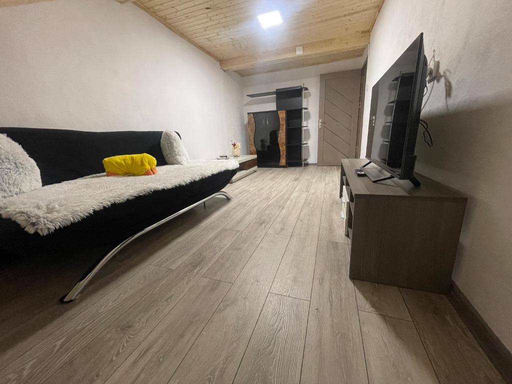 TV a/nebo společenská místnost v ubytování Vila Rustik Straja