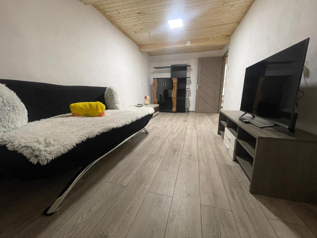 TV a/nebo společenská místnost v ubytování Vila Rustik Straja