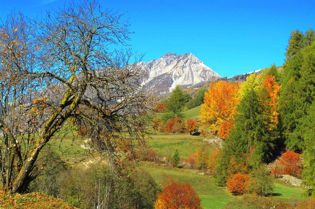 Příroda nedaleko penzionu – hostince