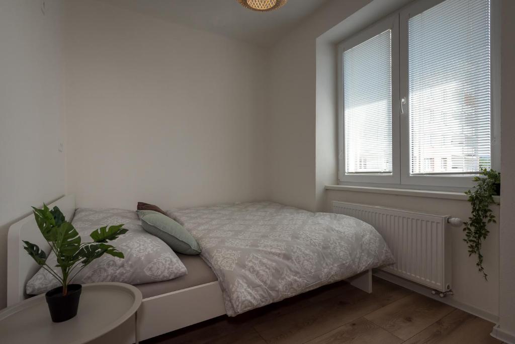 A bed or beds in a room at Hostel 26