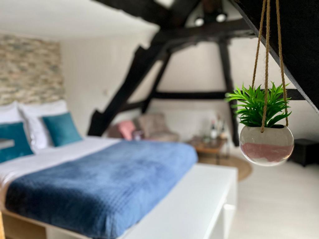 een slaapkamer met een bed en een potplant bij Mon Saint-Martin - APPART’HOTEL - Cœur de Bayeux in Bayeux