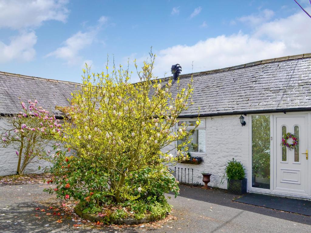 a white house with a tree in front of it at Glendale Cottage in Haltwhistle