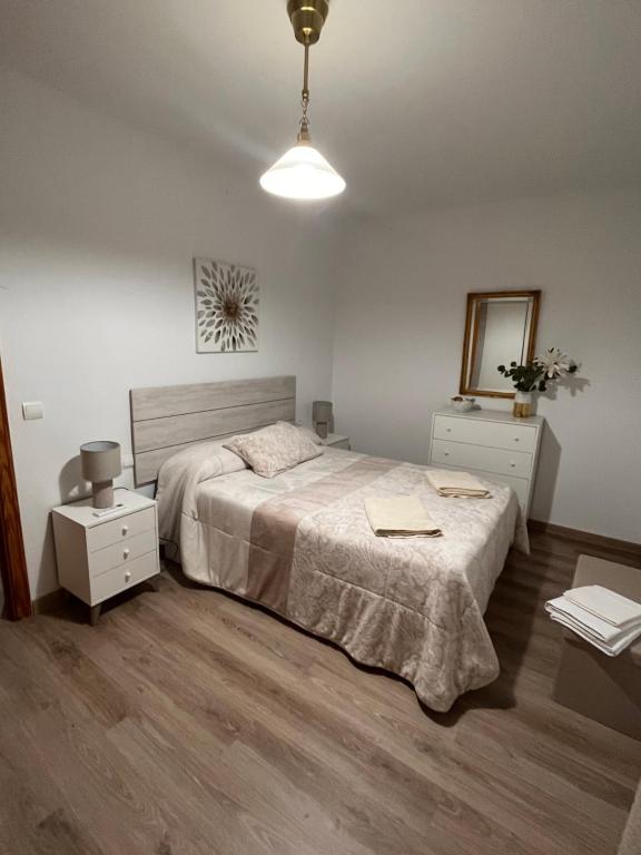 a bedroom with a large bed and a mirror at Apartamentos EL PELIGRO in Archidona