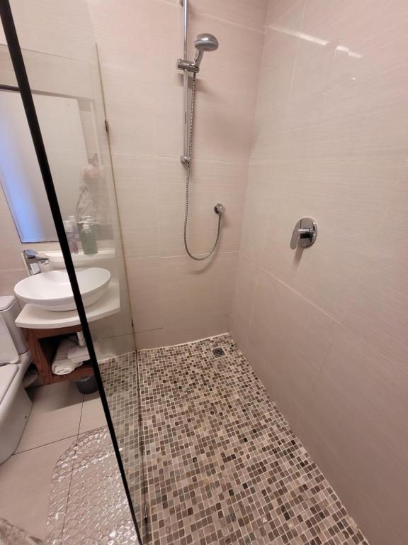 a bathroom with a shower with a sink and a toilet at The Oceanic in Durban