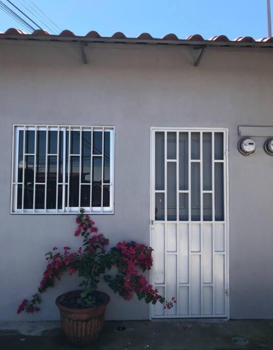 Coyol – Photos 1