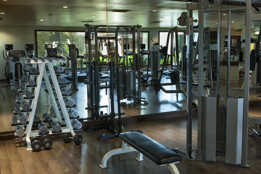 A mirrored fitness room with cardio, free-weight and cable-training equipment.