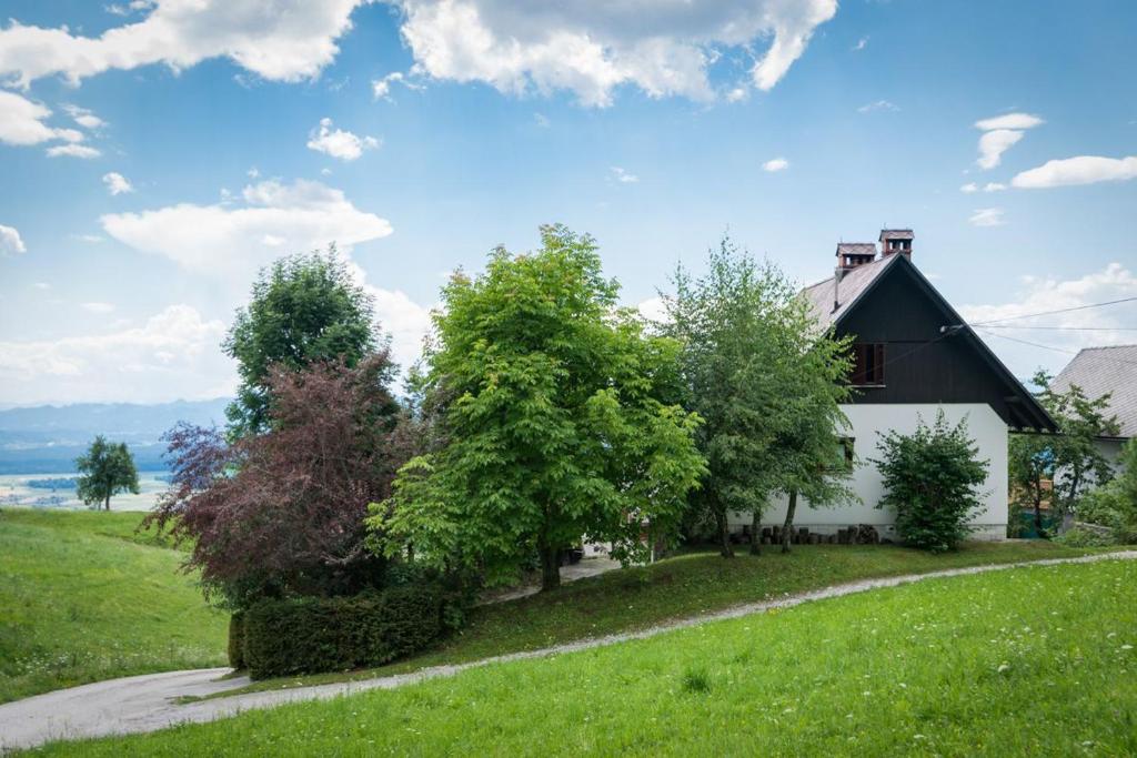 Peisaj natural din apropierea acestei case de vacanță