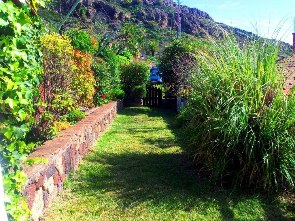 A garden outside El Drago Rural House