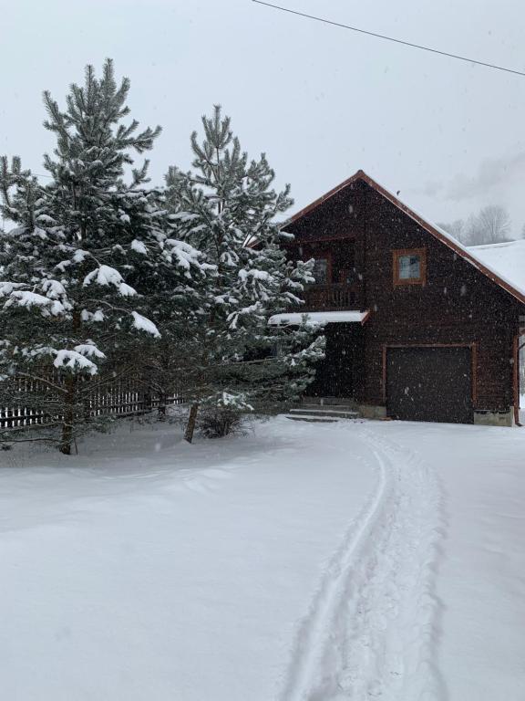 Chalet TysaBorkut v zimě