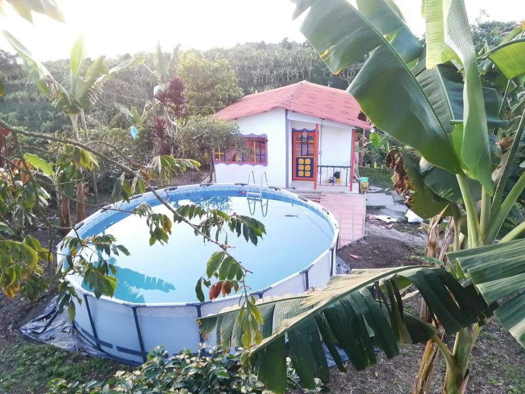 基姆巴亞的住宿－VILLA SOFI，庭院中带游泳池的房子