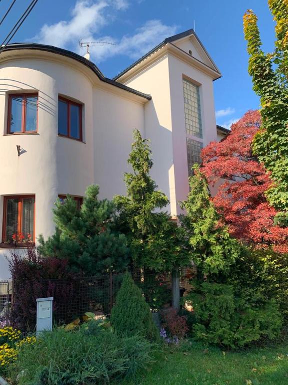 Zahrada ubytování Apartmán Dobrá Naděje