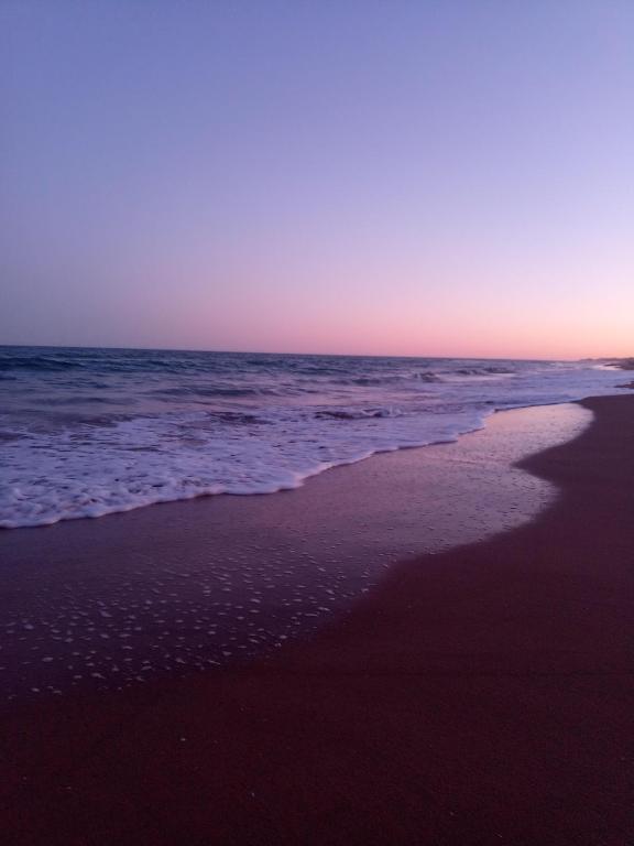 Pulau Playa, Guardamar del Segura – Updated 2023 Prices