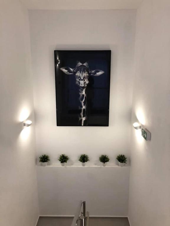 Fotografie z fotogalerie ubytování Penzión Fonte v destinaci Radava