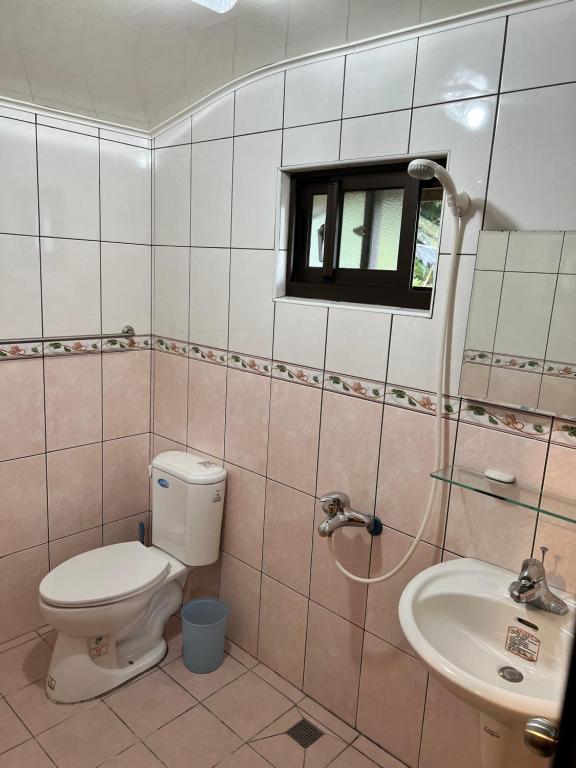 a bathroom with a toilet and a sink at Zhong Ming Ju Taoyi Fang in Fanlu