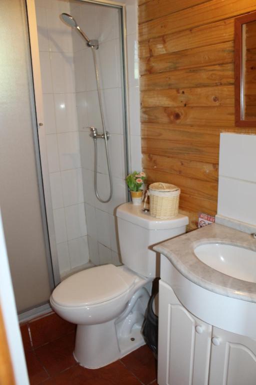 a bathroom with a toilet and a shower and a sink at Cabañas Alfa Colbun Machicura in Linares