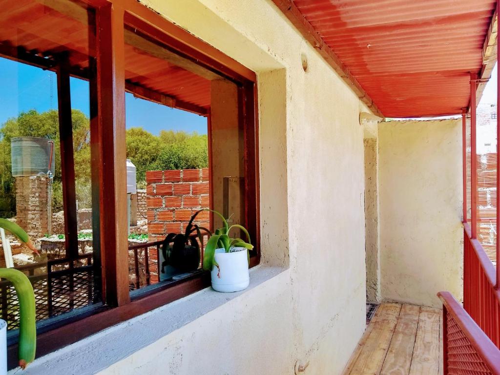 a window of a house with a potted plant at Casa Samachiy in Humahuaca