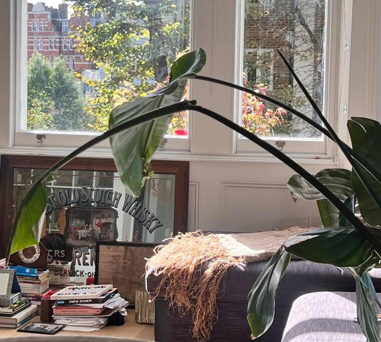 une chambre avec une plante et des livres sur une table dans l'établissement Lovely flat near Holland Park, à Londres