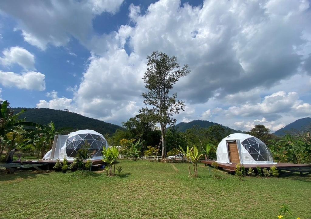 Příroda nedaleko luxury tent