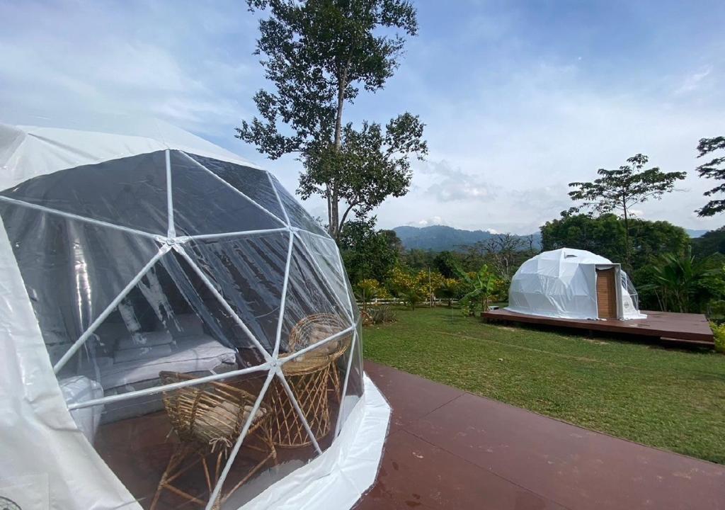 Příroda nedaleko luxury tent