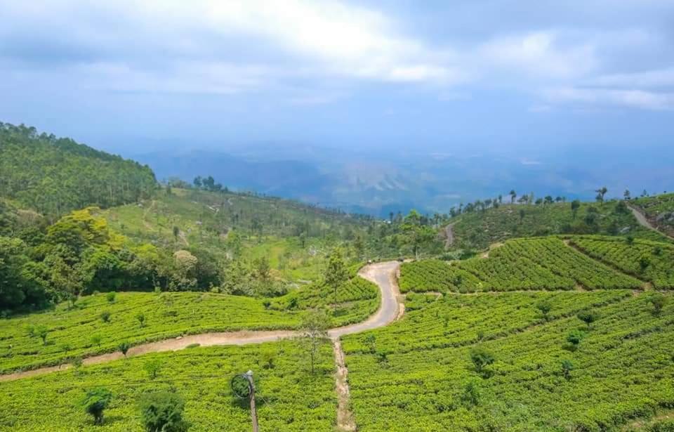uma estrada sinuosa através de uma plantação de chá nas colinas em Leisure Mount Villa em Haputale