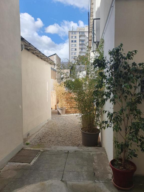 an alley with plants in pots in a building at Appartement calme et pratique. in Tours