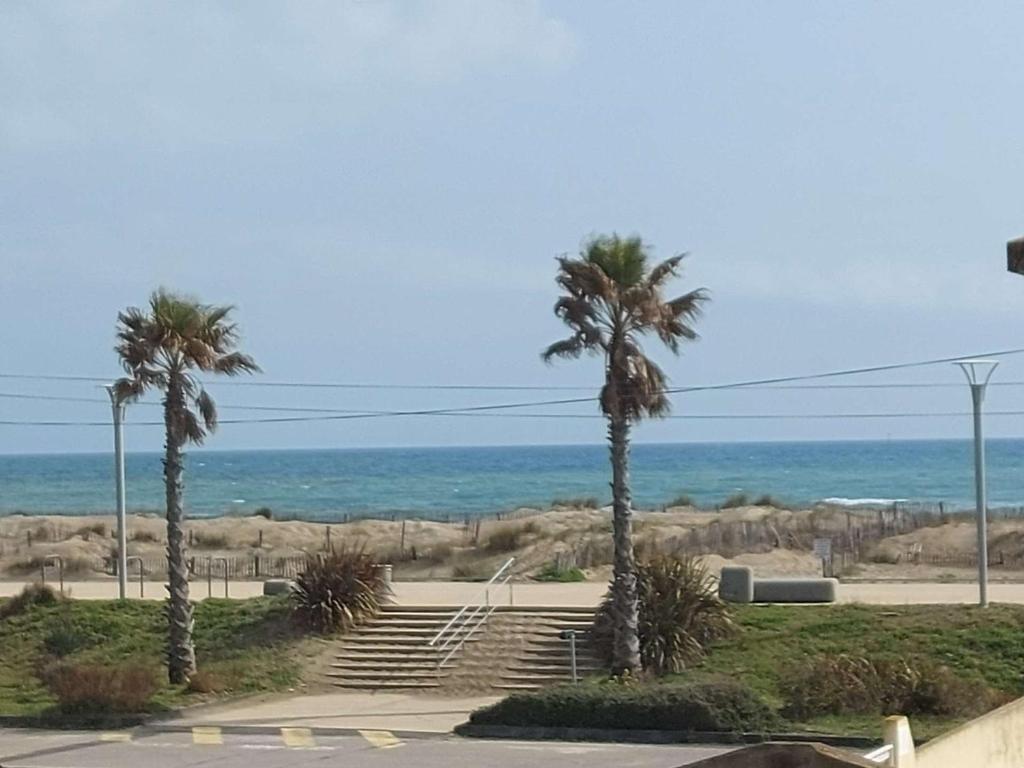 un groupe de palmiers à côté de la plage dans l'établissement Studio moderne, proche plage et commerces, terrasse ensoleillée - FR-1-326-699, à Marseillan