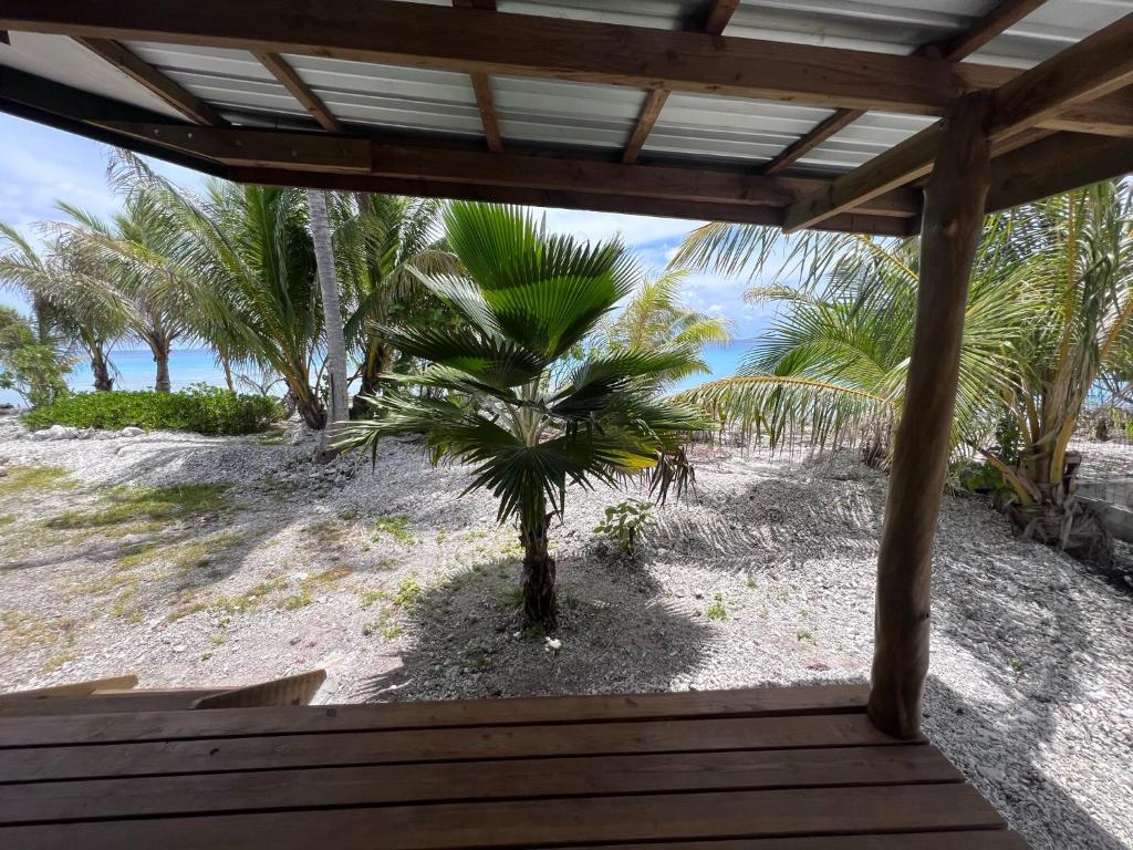 a view of a palm tree from a porch at Te Mao in Avatoru