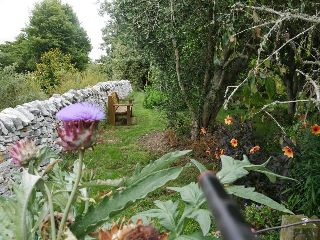 Flowerhaven - glamping dome - Resim 20