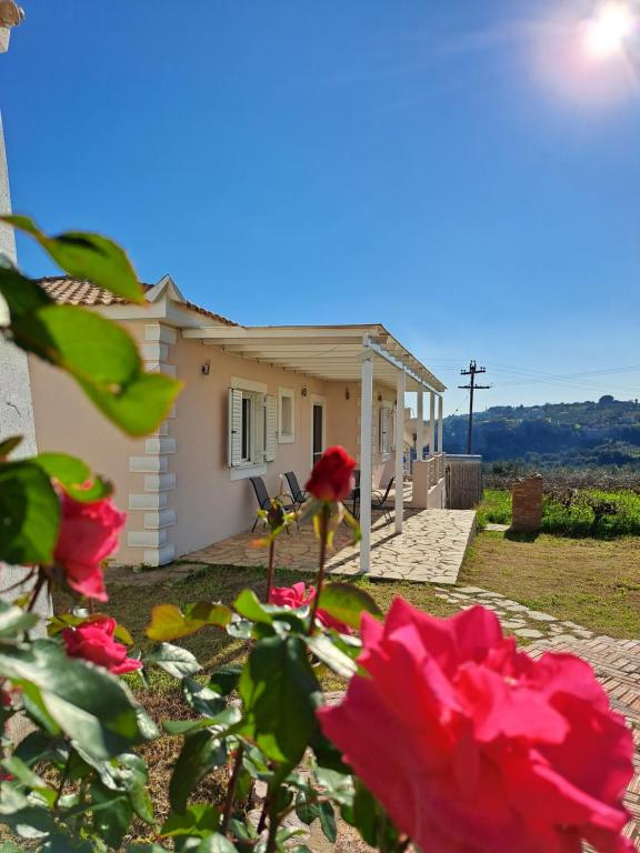 Foto dalla galleria di Vasilopoulos Estate a Koroni