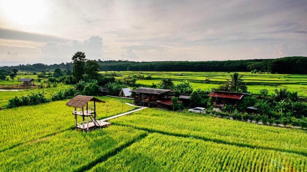a green field with houses in the middle of it at Na mong Homestay in Nan