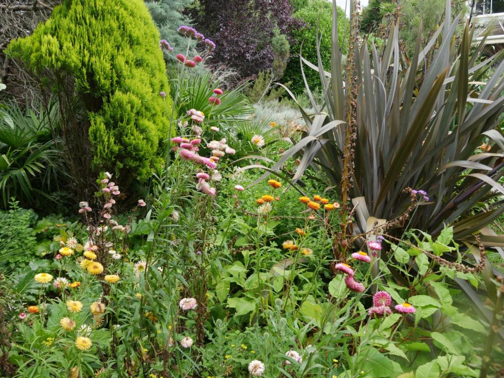 Flowerhaven - glamping dome - Resim 26