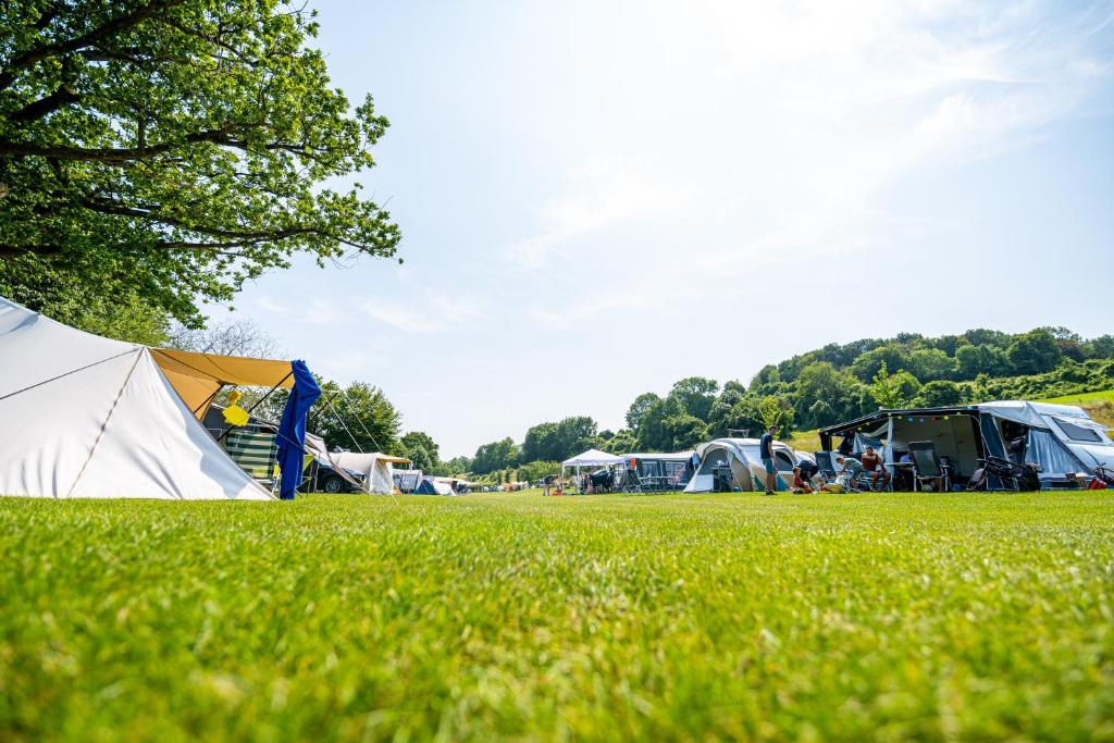 Puutarhaa majoituspaikan Vakantiepark Vinkenhof ulkopuolella