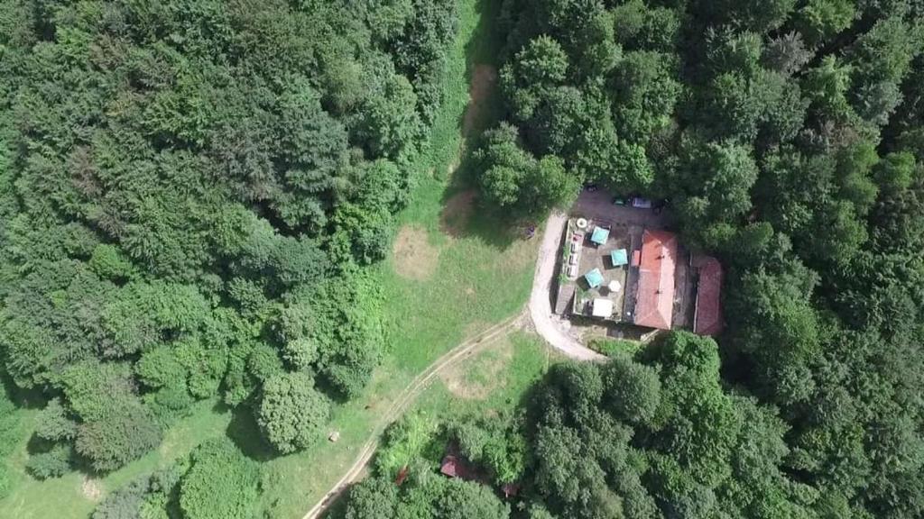 een luchtzicht op een huis midden in een bos bij Bonsovi Poliani Hut (хижа Бонсови поляни) in Vladaya