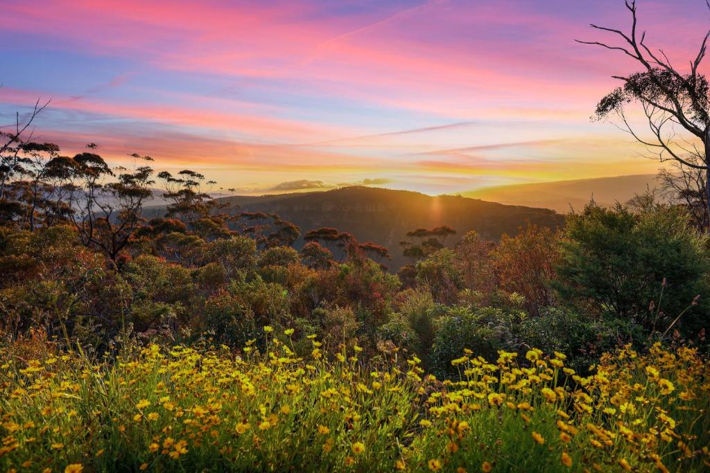 a sunset in the mountains with a field of flowers at Cliff Haven Retreat in Katoomba