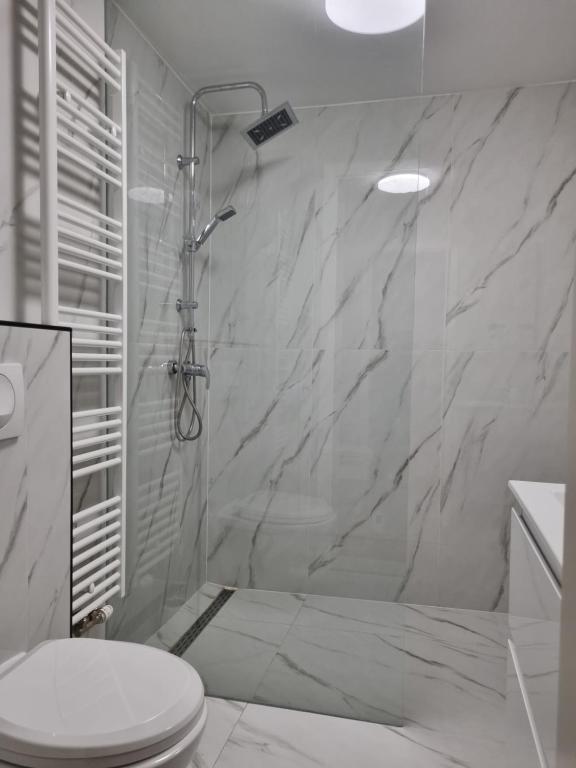 Kúpeľňa v ubytovaní Apartman Šćuric