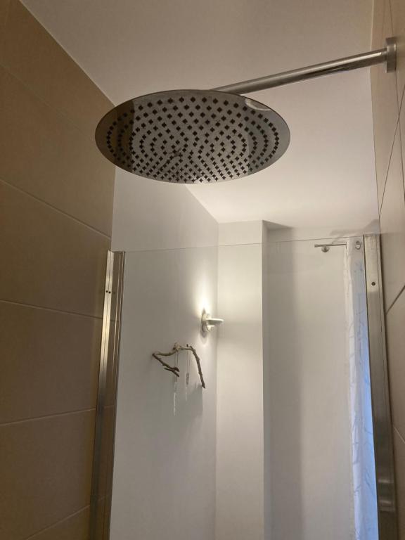 a bathroom with a shower and a light on the ceiling at Auszeit am Haffufer in Wilhelmshof