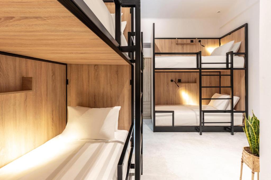 PAME Wild - Resim 33