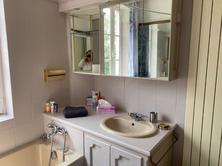 ein Badezimmer mit einem Waschbecken, einem Spiegel und einer Badewanne in der Unterkunft Maison Ancienne à côté des Champs Elysees in Puteaux