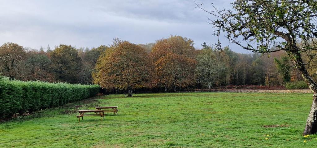 Habitaciones La Cuevona de Guitiriz,Parga, en el camino norte Lugo - 10