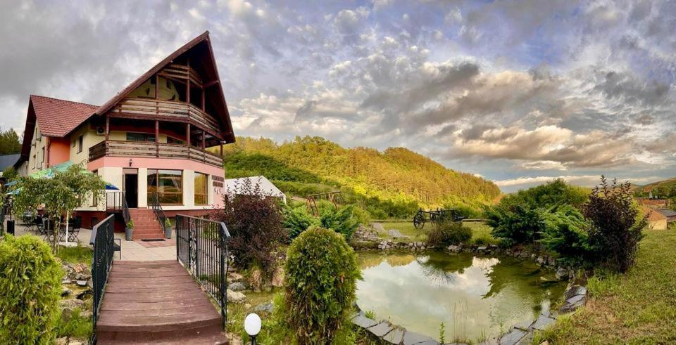 a house with a pond in front of it at Pensiunea Armonia in Nădăşelu