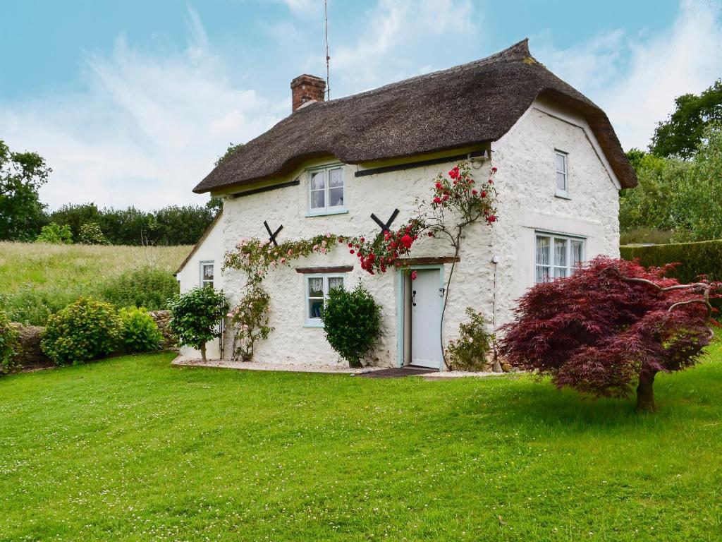 Casa blanca con techo de paja en Little Thatch en Netherbury