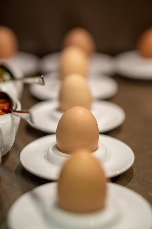 Hotel Villa Saxe Eiffel - Resim 37