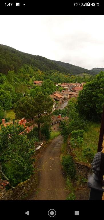 a view of a dirt road with trees and houses at Canadina 1 in Morgovejo