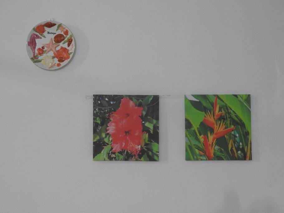 Fotografie z fotogalerie ubytování STUDIO HIBISCUS-CH Vue sur mer,Plage,Clim v destinaci Les Anses-dʼArlets