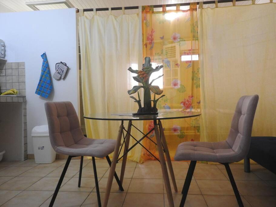 a dining room table with two chairs and a plant on it at STUDIO HIBISCUS-CH Vue sur mer,Plage,Clim in Les Anses-dʼArlets