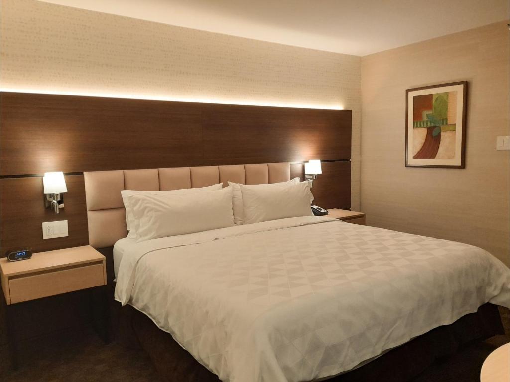 Holiday Inn Guatemala, an IHG Hotel - Room King Estándar