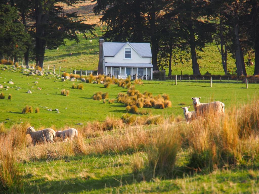 Annandale Coastal Farm Escape & Luxury Villa Collection - Chalet D'une Chambre - Shepherd's Cottage