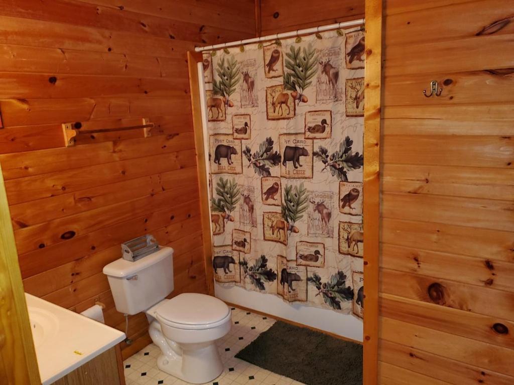 セバービルにあるStory Brook: Beautiful true log cabin! Close to Dollywood, State Park, and more!のバスルーム(トイレ、シャワーカーテン付)